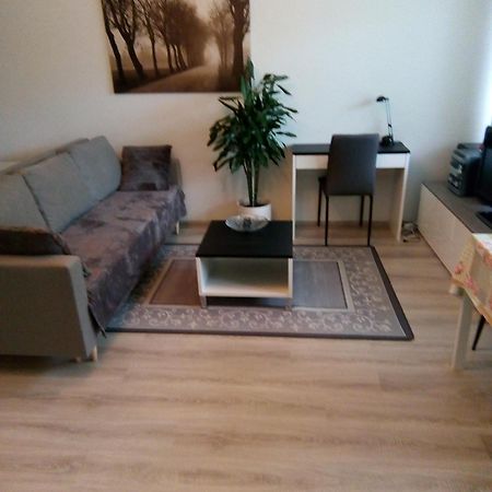 Parantolankatu Modern One Room Apartment Hyvinkaa ภายนอก รูปภาพ